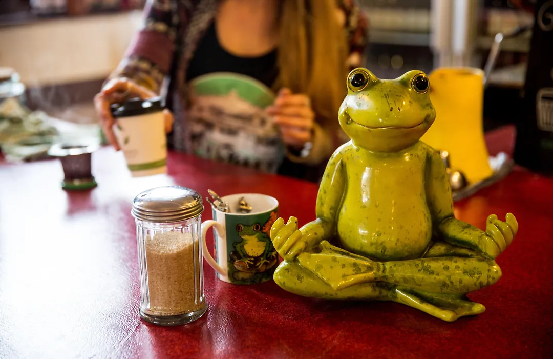 The Pickled Frog-1